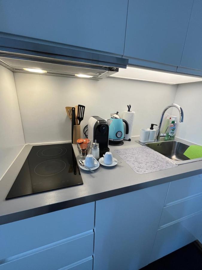 Appartement With Balcony Vienne